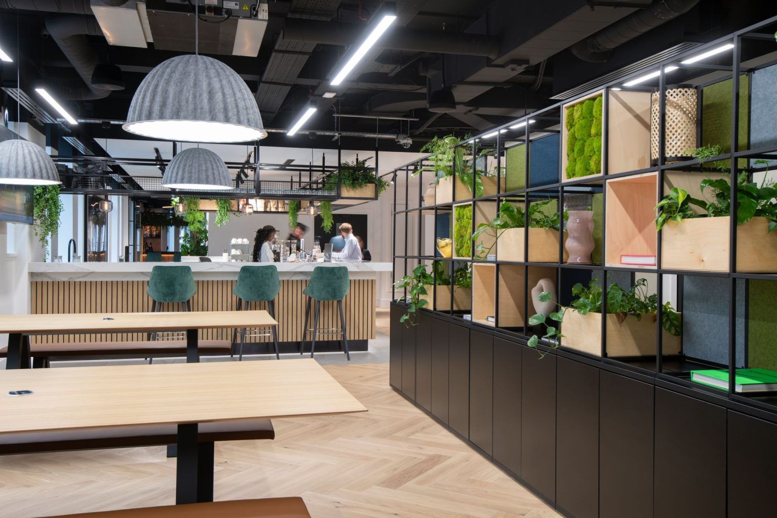 Spaces That Speak: The Real Power of Office Interior Design for Growing ...